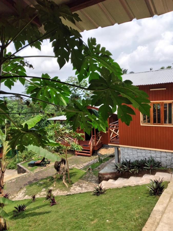 Guest House Quinta Natural Bangalots Graca Ngoại thất bức ảnh