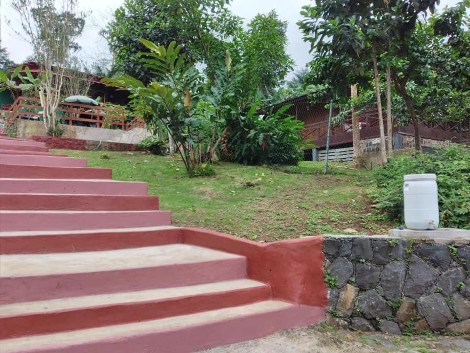 Guest House Quinta Natural Bangalots Graca Ngoại thất bức ảnh