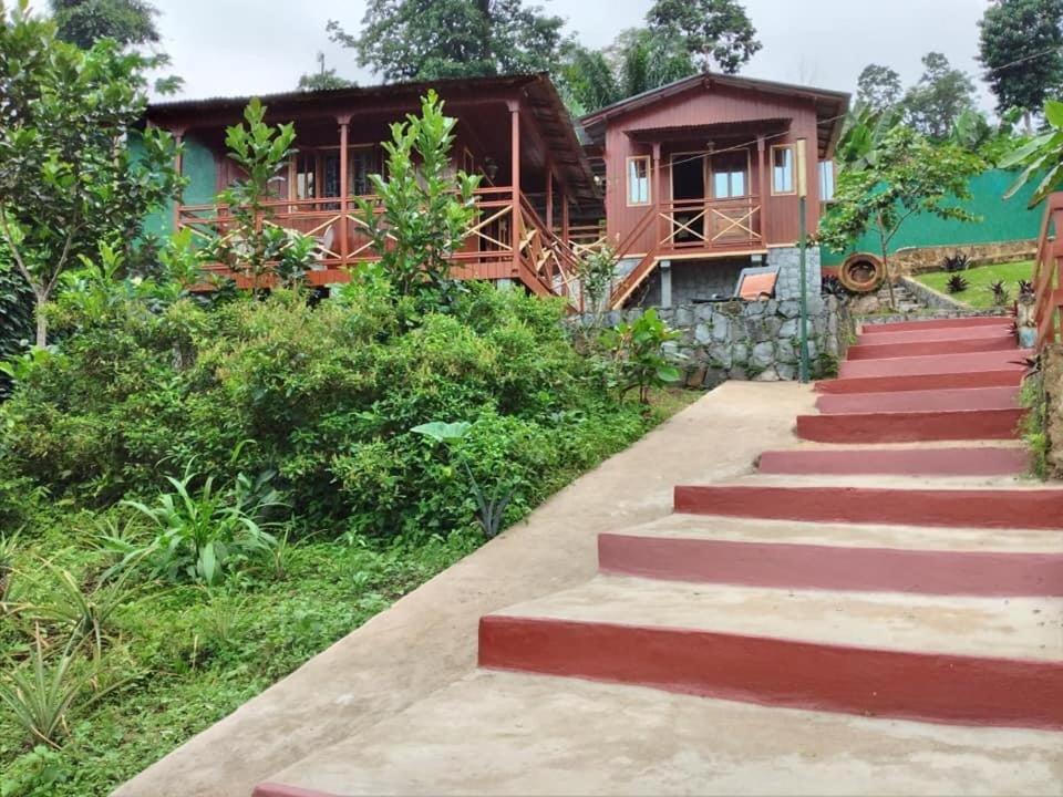 Guest House Quinta Natural Bangalots Graca Ngoại thất bức ảnh