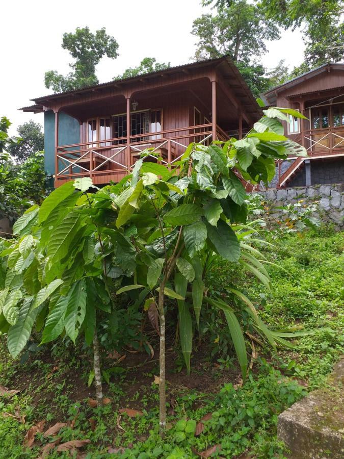 Guest House Quinta Natural Bangalots Graca Ngoại thất bức ảnh