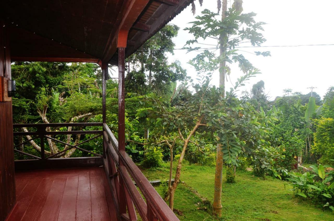 Guest House Quinta Natural Bangalots Graca Ngoại thất bức ảnh