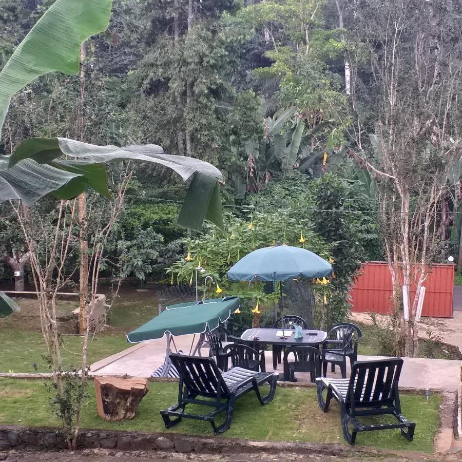 Guest House Quinta Natural Bangalots Graca Ngoại thất bức ảnh
