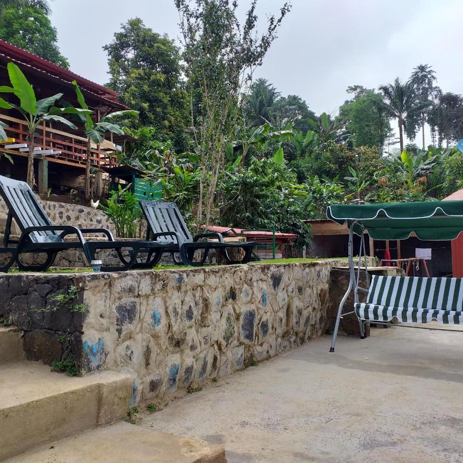 Guest House Quinta Natural Bangalots Graca Ngoại thất bức ảnh