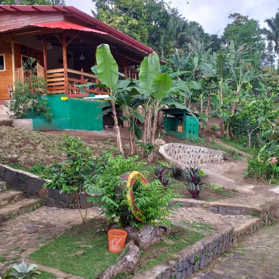 Guest House Quinta Natural Bangalots Graca Ngoại thất bức ảnh