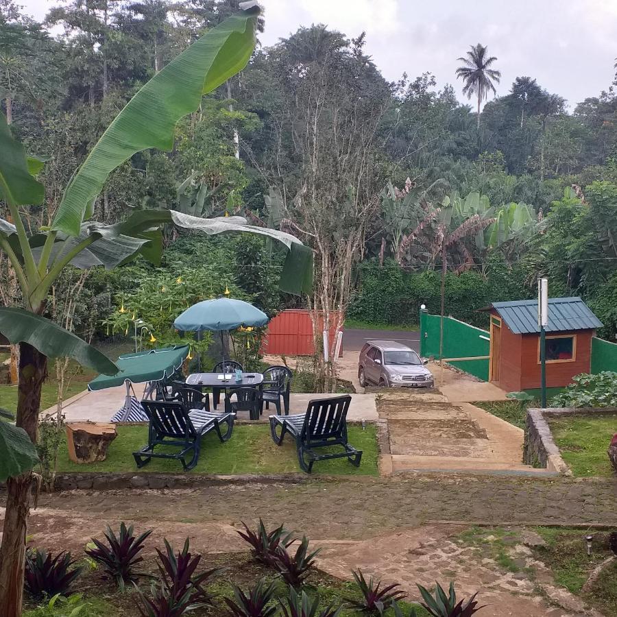 Guest House Quinta Natural Bangalots Graca Ngoại thất bức ảnh