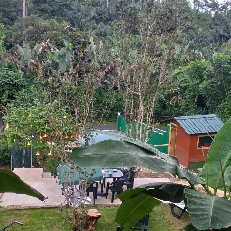 Guest House Quinta Natural Bangalots Graca Ngoại thất bức ảnh