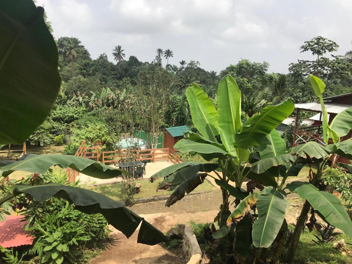 Guest House Quinta Natural Bangalots Graca Ngoại thất bức ảnh